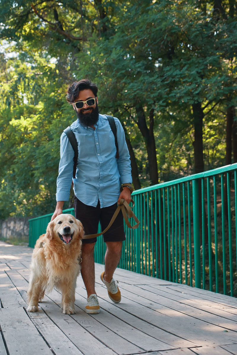 DOG WALKS